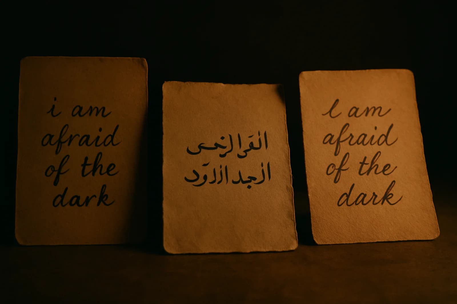 Sixteen languages, one question, two people